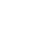 Instagram-175x175-1.png